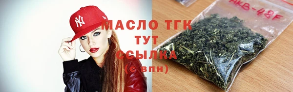 СК Ельня