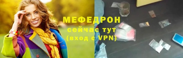 СК Ельня