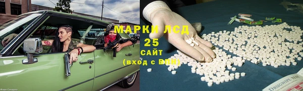 СК Ельня
