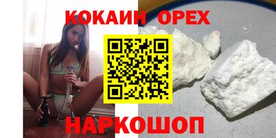 стафф Кингисепп