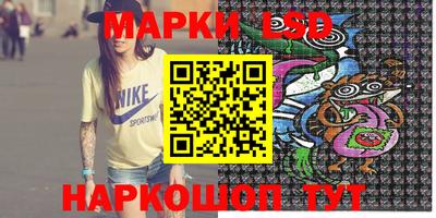 стафф Кингисепп