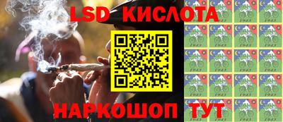 стафф Кингисепп
