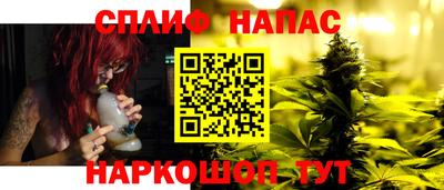 стафф Кингисепп