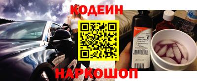 стафф Кингисепп
