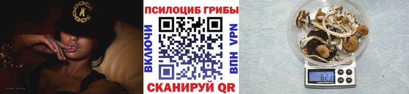 Галлюциногенные грибы Cubensis  Солнечногорск 