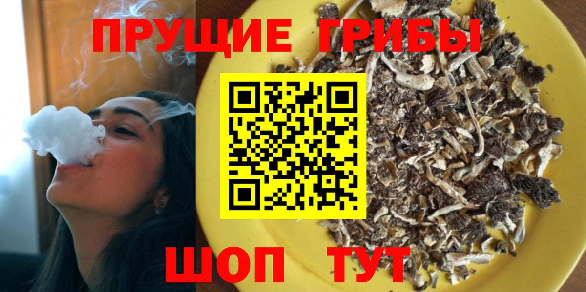 где купить   Галлюциногенные грибы прущие грибы  Солнечногорск  Галлюциногенные грибы прущие грибы 