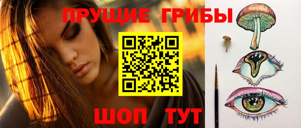 Галлюциногенные грибы прущие грибы Солнечногорск