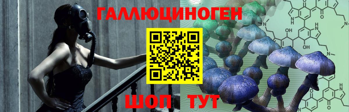 Галлюциногенные грибы прущие грибы  Вход с VPN  Солнечногорск 