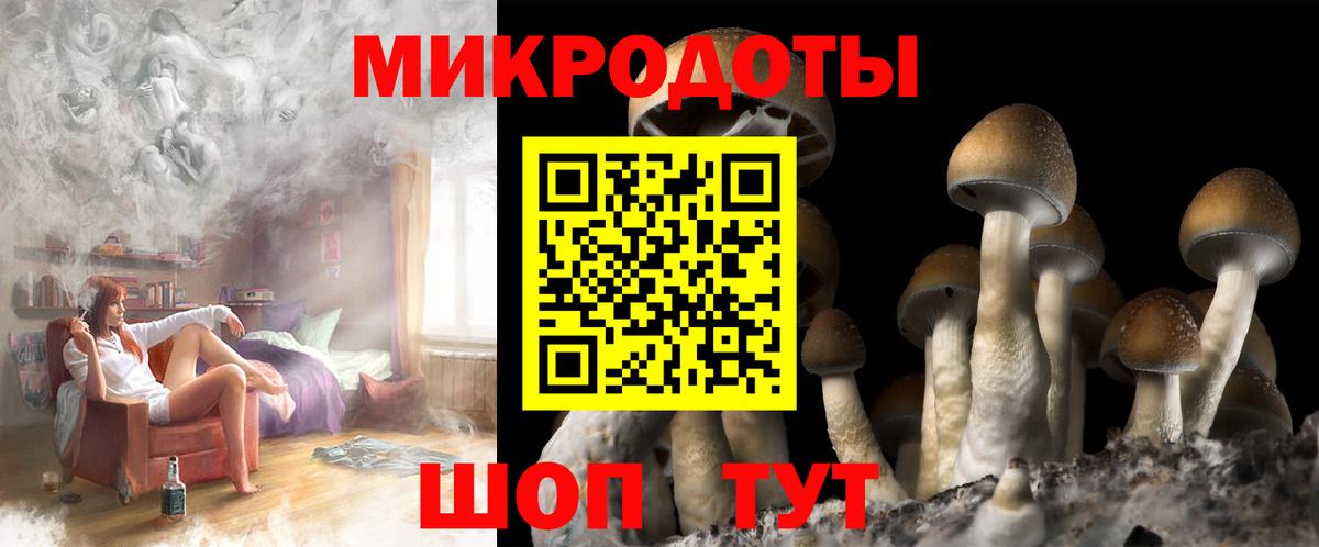 Галлюциногенные грибы Солнечногорск